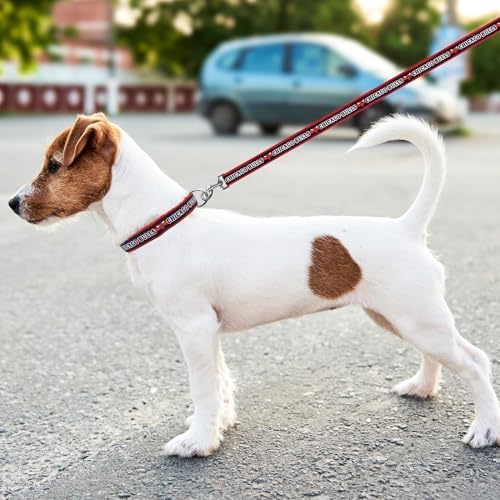 NBA Chicago Bulls Dog Leash, Size Small. Heavy-Duty Metal Swivel Buckle Pet Leash
