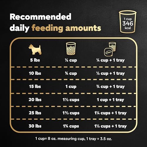 Cesar Small Breed Dry Dog Food, Filet Mignon & Spring Vegetables, 12 lb