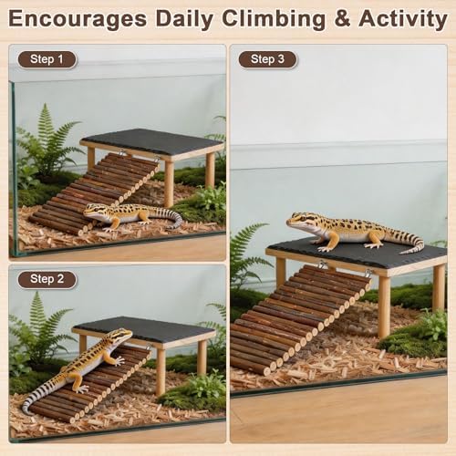 Bearded Dragon Basking Platform with Climbing Ramp,Leopard Gecko Basking Platform with Stone,Reptile Basking Rock Hide Cave Climing Accessories for Turtle,Snake,Lizard