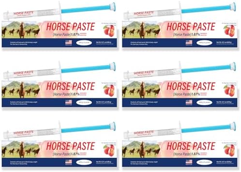 6 Pack (6.08g) Apple Flavored Oral Paste for Horses