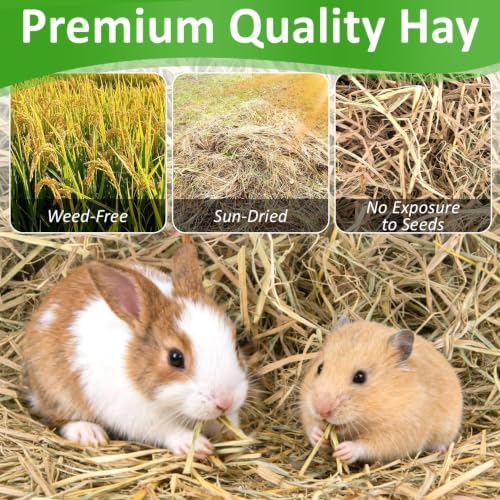 MAQIHAN 10.95 OZ Natural Straw Bedding - Organic Straw Mulch for Rabbits