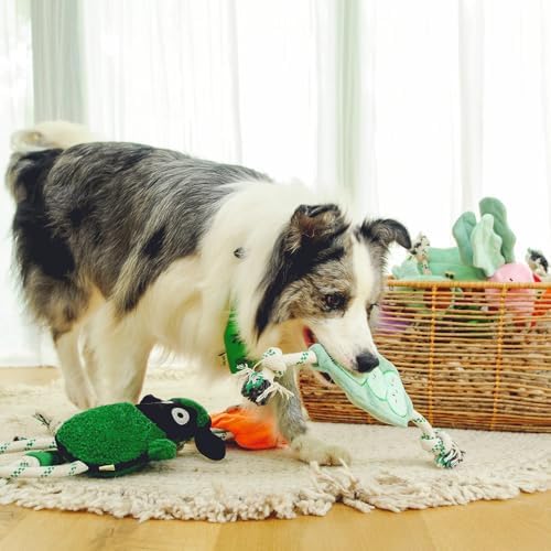 Green Sheep Rope Toy for Dogs, Durable Plush Dog Chew Toy with Squeaker, Interactive Pet Toy for Small Medium Large Dogs, Tough Recycle Cotton Rope & PP Cotton Stuffing