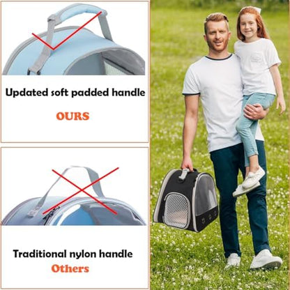 Ventilation Cage,Bearded Dragon Travel Carrier,Guinea Pig Carrier,Guinea Pig Bag for 2,Reptile Travel Carrier for Lizards Sugar Glider Hedgehog Rat Parrot Birds,Airline Approved (Blue, Mesh Carrier)