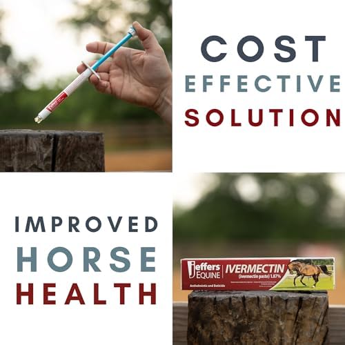 Jeffers Ivermectin Gel Dewormer for Horses - Apple Flavored, Broad Spectrum Dewormer Paste - Effective Parasite Control for Worms, Pinworms, Bots & More - Safe for All Equine, 12 Pack