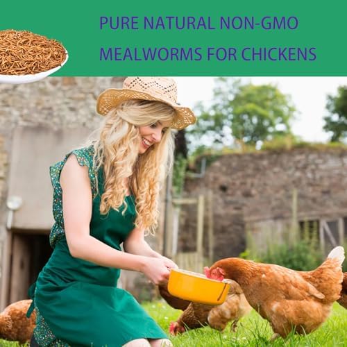 Dried Mealworms for Chickens 10LB Meal Worms for Laying Hens Wild Birds
