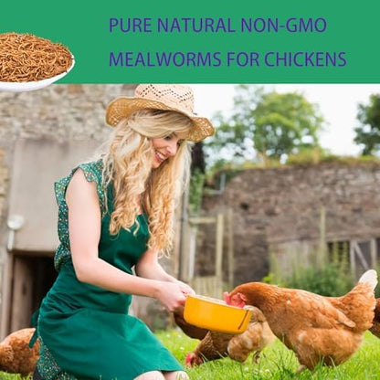Dried Mealworms for Chickens 10LB Meal Worms for Laying Hens Wild Birds