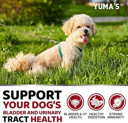 Cranberry Supplement for Dogs - 170 Chews - Dog UTI & Bladder Support