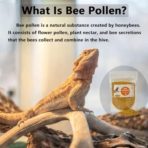 Pleasantly War Bee Pollen for Bearded Dragons and Amphibians, Natural Granules, Premium Grade, Digestive and Immune Support,8oz