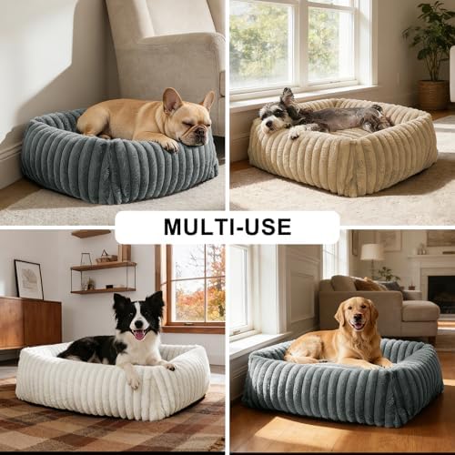 FURTIME Dog Bed for Small Medium Dog, Washable Orthopedic Pet Bed with Removable Cover, Rectangle Soft Calming Sleeping Puppy Bed Durable Pet Cuddler with Anti-Slip Bottom, Cream, M (25"x21"x7")