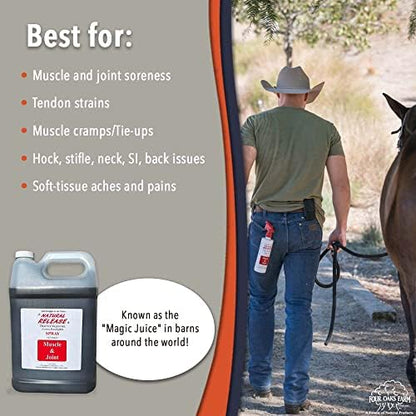 Four Oaks Farm Ventures, Natural Release Muscle Spray Treatment - Horse Liniment for Sore Muscles, Joint Pain, Tendon & Inflammation Relief - Easy to Use, Fast Acting, Alcohol & Menthol Free (1 Gal)