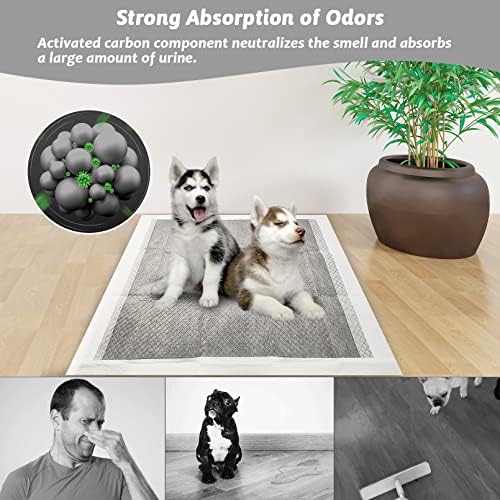 Fhiny Pee Pads for Small Dogs, 24" x 24" 40 PCS Large Disposable Puppy Pads Leak-Proof Super Absorbent Charcoal Potty Training Pad with Quick-Dry Surface for Dogs Puppies Cats Kittens or Small Pets