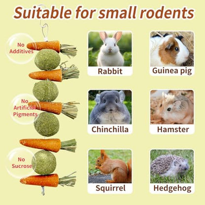 Hamiledyi Rabbit Chew Toys for Teeth Natural Bunny Toys Guinea Pig Treats Hamster Molar Teeth Toys Made with Natural Timothy Grass & Vegetables Suitable for Rodent Pets Small Animal