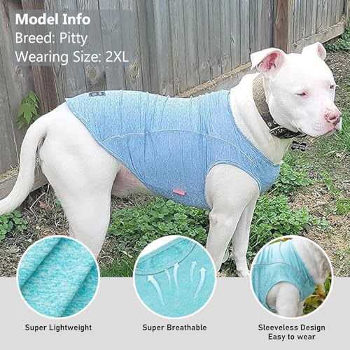 KYEESE 2Pack Reflective Dog Shirt, Lightweight Sun Protection Dog T Shirts for Small Dogs, Breathable Sleeveless Pet Tank Top Summer Dogs Clothes for Night Walking Outdoor, Lake Blue+Rose Red, M