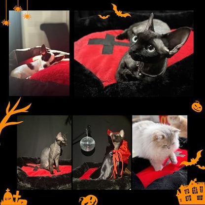 Gothic Coffin Cat Bed for Large Cats, Washable, Size: Large