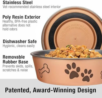 Loving Pets Bella Dog Bowls- Stainless Steel Dog & Cat Bowls - Spill Proof Dog Food Bowl, Cat Bowl, Puppy Essentials & Pet Supplies Great for Home & Travel (Small 10-20 lbs, Champagne)