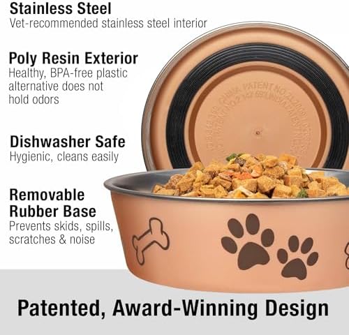 Loving Pets Bella Dog Bowls- Stainless Steel Dog & Cat Bowls - Spill Proof Dog Food Bowl, Cat Bowl, Puppy Essentials & Pet Supplies Great for Home & Travel (Medium 20-35 lbs, Champagne)