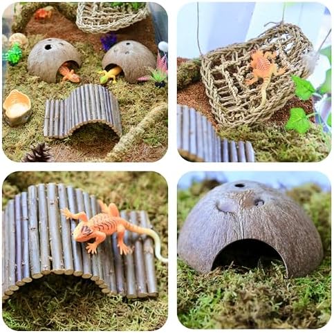 Hermit Crab Accessories – 8PCS Natural Hermit Crab Toys Climbing Bridge, Shells, Coconut Hideout, Moss and Plants for Hermit Crabs Habitat & Reptile Tank Decor