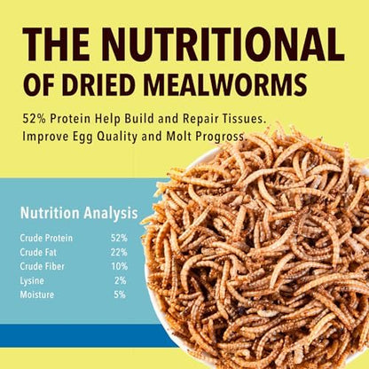 11lb Dried Mealworms for Wild Birds,Treats for Chickens,Laying hens