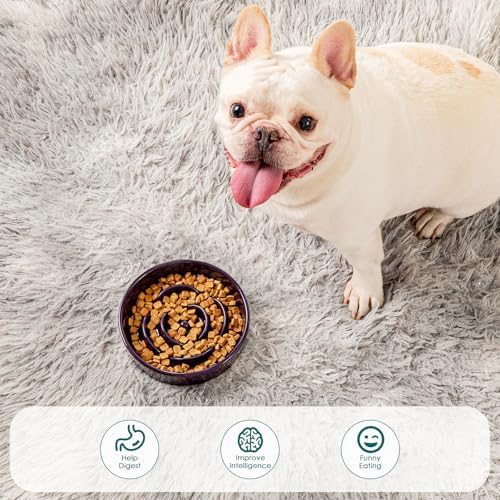 vancasso Slow Feeder Dog Bowl, 0.6 Cups Ceramic Small Puzzle Dog Food Dish