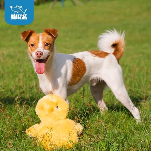 Best Pet Supplies Interactive Squeaky Dog Toy - Baby Chicken, Yellow