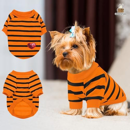 Queenmore Medium Dog Shirt,Soft Breathable Dog Shirt for Dogs Cats Boy Girl,Pet Clothes for All Season,Breathable Lightweight Pet Tshirt for Frenchie, Dachshund, Yorkie