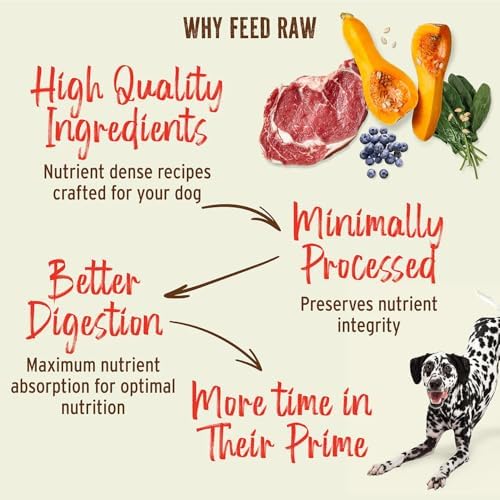 Primal Freeze Dried Raw Dog Food Nuggets, Duck, 14 oz