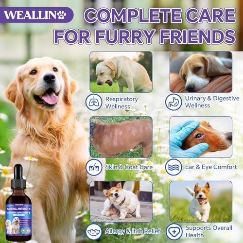 Dog Antibiotics Support Natural Antibiotics Care for Dogs Herbal Supplement