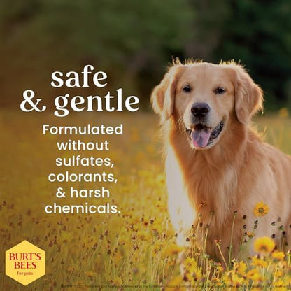 BURT'S BEES FOR PETS Deodorizing Dog Spray, Lemongrass & Sage, 10 Fl Oz