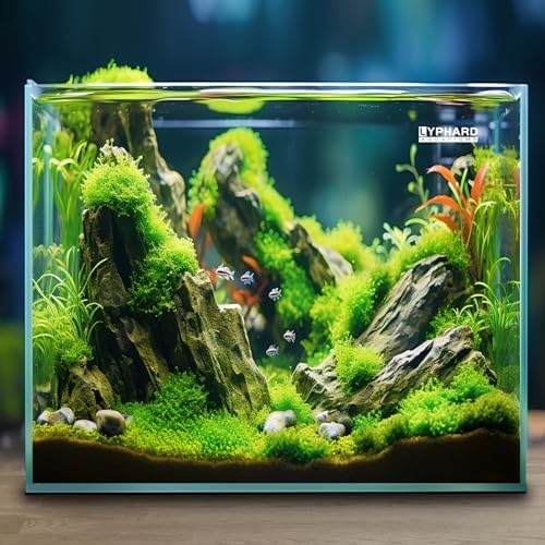 LYPHARD AQUARIUMS 33 Gallon Cube Rimless Aquarium, Ultra Clear Low Iron Large Fish Tank, L19.7×W19.7×H19.7 Glass Thickness 8mm with EVA Foam Leveling Mat