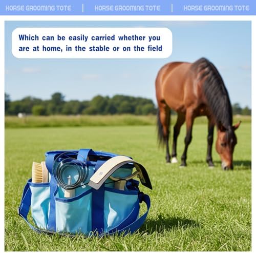 Abbylike Grooming Tote,Stylish,10.63 x 10.63 x 9.45 Inch,Blue