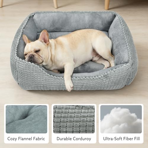 MIXJOY Dog Beds for Medium Dogs Washable, Rectangle Pet Bed Medium Size Dog, Orthopedic Sleeping Pet Sofa Bed, Soft Calming Cat Beds for Indoor Cats, Anti-Slip Bottom with Multiple Size
