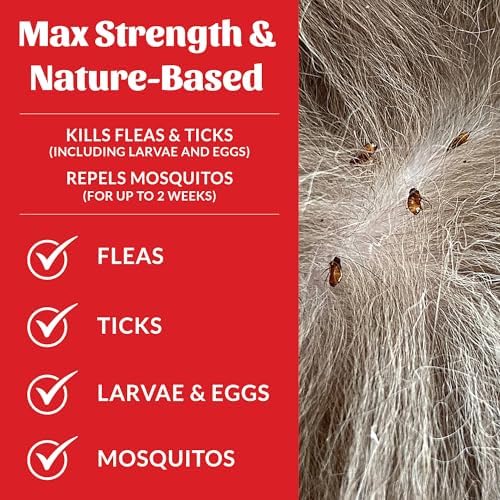 SKOUT'S HONOR Natural Flea and Tick Shampoo for Dogs, 16 oz