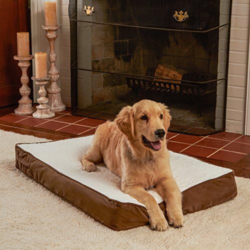 Happy Hounds Oscar Rectangle Orthopedic Foam Sherpa Dog Bed, Small (36 x 24 in.), Mocha
