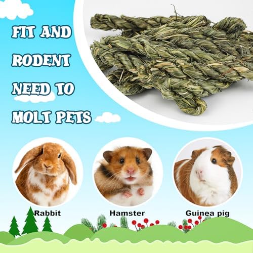 80pcs Rabbit Timothy Hay Toy for Bunny Small Animal Treats Natural Grass Stick Chew Toys Snacks Molar Teeth Grinding for Guinea Pigs Chinchillas Hamsters
