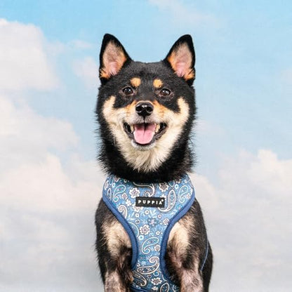 Puppia Cynthia Dog Harness A (Over-The-Head) Fashionable Paisley Pattern Spring Summer Harness for Small and Medium Dogs, Blue, Medium