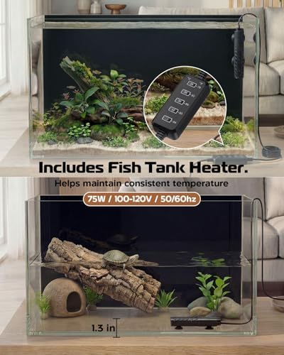 10 Gallon Glass Aquarium Kit, Rimless Fish Tank with LED & Filter, Black