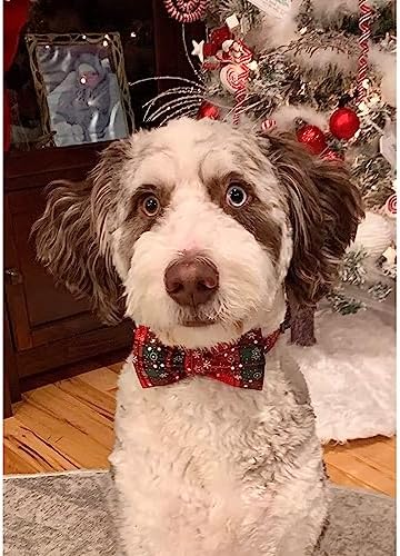 Lionheart glory Christmas Plaid Dog Collar Adjustable Soft Dog Collar with Bowtie, Pet Gift Dog Collars Bow for Small Medium Large Dogs