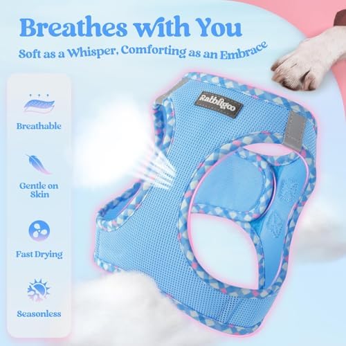 rabbitgoo Dog Harness Small Sized and Leash Set, Step-in Puppy Pet Vest