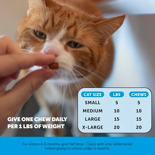 Cat Skin & Coat Supplement Crunchy Creamy Chews - Salmon Oil for Cats Omega 3 Itchy Dry Skin Relief - Feline Shedding Control - Biotin Vitamins for Indoor Cats Shiny Soft Coat (30-Day Supply)