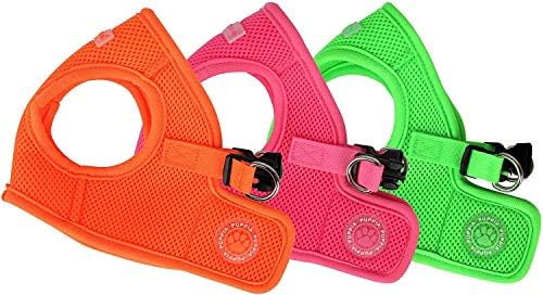 Puppia Neon Soft Vest Harness Step-in No Choke No Pull Walking Training for Small and Medium Dog, Orange, Medium