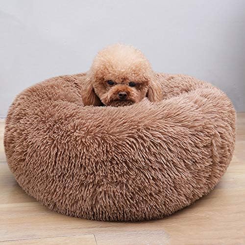 Cat Bed for Indoor Cats,Mini Plush Self Warming Kitten Bed, 20 Inch