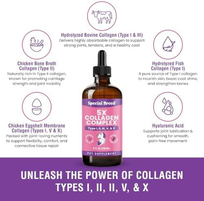 Premium Collagen for Dogs - Liquid Support for Joints, Skin, Coat, Bone, Immune System & HIPS - Collagen Supplement - Made in USA - Bacon Flavor - 8oz