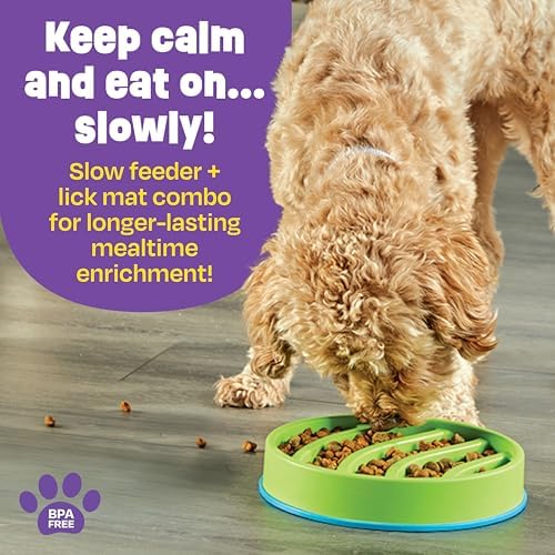 Brightkins Circle 2-in-1 Slow Feeder Bowl and Lick Mat - Slow Feeder Dog Bowls, Dog Bowls for Fast Eaters, Interactive Puppy Bowl, Cat Food Puzzle, Puzzle for Dogs, Pet Dishwasher Safe Lick Mat