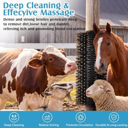 3 Pack Livestock Scratching Brush, Black