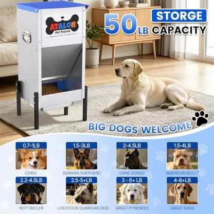 50 lb Automatic Dog Feeder for Large Breeds, 3 Adjustable Heights