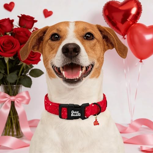 Valentine's Lovely Red Heart Print Dog Collar for Large Dogs