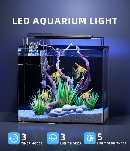 3 Gallon Fish Tank Starter Kit with Heater Filter Light Glass Rimless