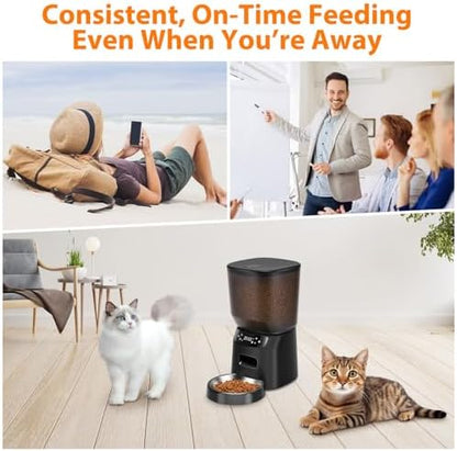 Automatic Cat Feeder, Cat Food Dispenser with Stainless Steel Bowl, Timed Portion Control 20 Portions 6 Meals Per Day, Voice Recorder, Dual Power Supply for Small Dogs