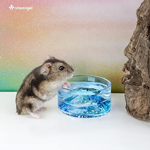 Niteangel Hamster Feeding & Water Bowl- 50ml Capacity & No Wet Fur for Pet