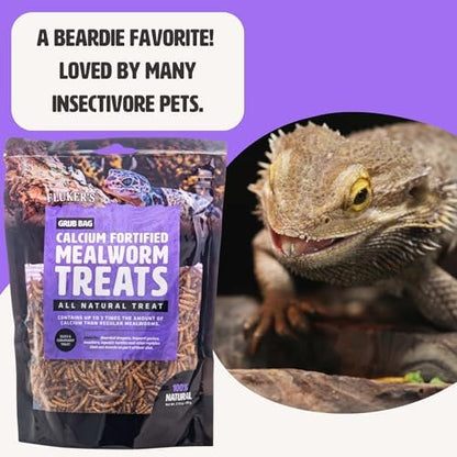 Fluker’s Grub Bag All Natural Calcium Fortified Mealworm Treats, Packed with Protein, Rich in Nutrients, A Reptile Favorite, 3 oz